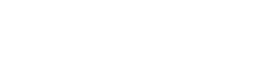 logo ninja 2