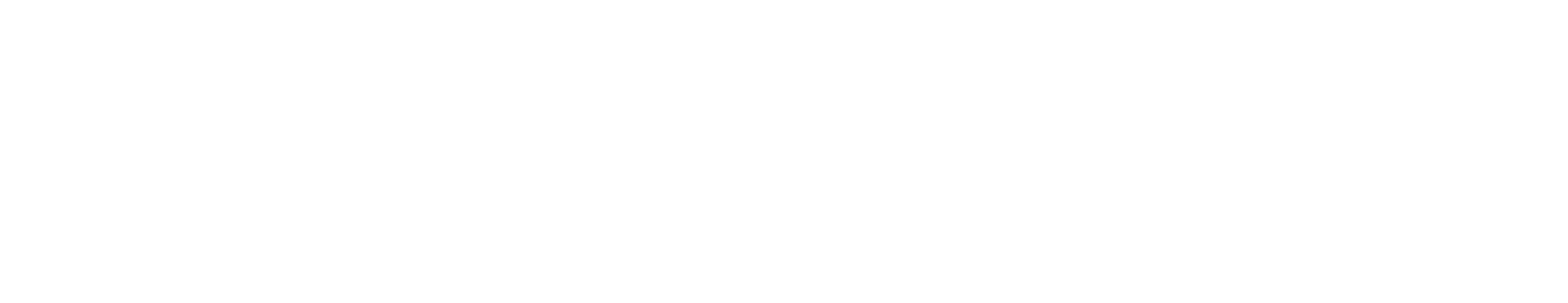 the bumo